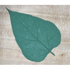 Large Rubber Catalpa Leaf Form